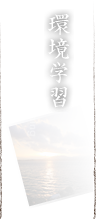 環境学習