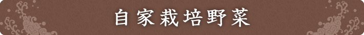 自家栽培野菜